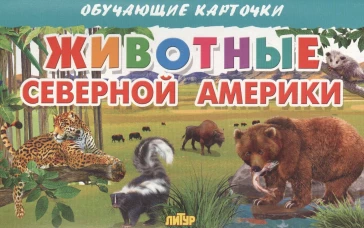 Карточки. Животные Северной Америки