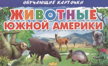 Карточки. Животные Южной Америки