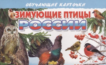 Карточки. Зимующие птицы&nbsp;России