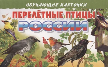 Карточки. Перелетные птицы&nbsp;России