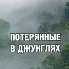Потерянные в джунглях: приключенческий роман. Нестеров В.