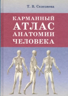 Карманный атлас анатомии человека. Селезнева Т.В