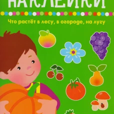 Что растет в лесу, в огороде, на лугу