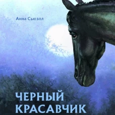 Черный красавчик