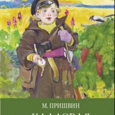 ШП. Кладовая солнца