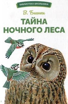 БШ. Тайна ночного леса