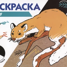 РАСКРАСКА ТРИ ЦВЕТА БУМАГИ. В лесу