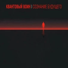 Квантовый воин: сознание будущего (мяг)