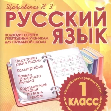 Русский язык 1 класс.Тренажер для начальной школы