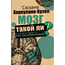 Мозг. Такой ли он особенный?