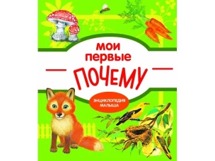 Мои первые ПОЧЕМУ? / Е. Колузаева. - 2019, М.  Стрекоза. - (Энциклопедия малыша). - ISBN 978-5-9951-3865-5 (7Б)