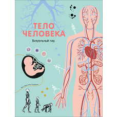 Тело человека. Визуальный гид