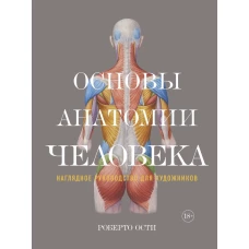 Основы анатомии человека. Наглядное руководство для художников