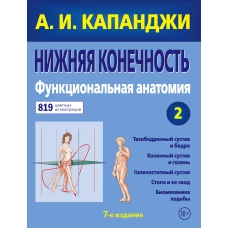 Нижняя конечность: Функциональная анатомия (обновленное издание)