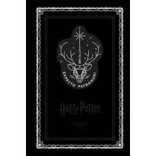 Блокнот. Гарри Поттер. Экспекто патронум!