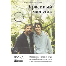 Дэвид Шефф: Красивый мальчик. Правдивая история отца, который боролся за сына