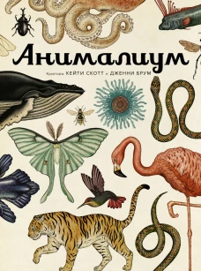 Анималиум