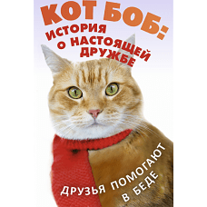 Кот Боб: история о настоящей дружбе (комплект из 2-х книг)