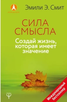 Сила Смысла