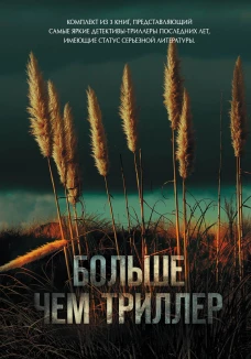 Больше чем триллер. Комплект из 3 книг (Мы начинаем в конце. Первый день весны. Зеркальная страна)