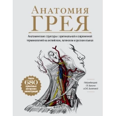 Анатомия Грея. Анатомические структуры с оригинальной и современной терминологией на английском, латинском и русском языках