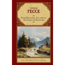 Петер Каменцинд. Под колесом. Последнее лето Клингзора. Душа ребенка. Клейн и Вагнер