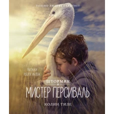 Штормик и мистер Персиваль