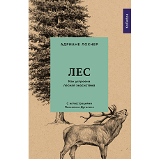 Лес. Как устроена лесная экосистема