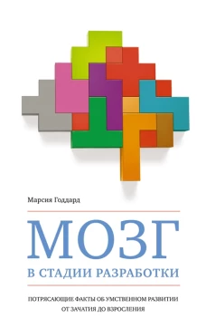 Мозг в стадии разработки.Потрясающие факты об умственном развитии от зачатия до взросл