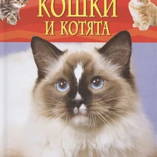 Кошки и котята