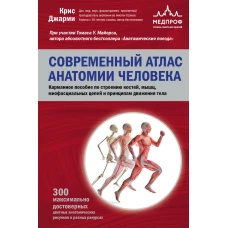 Современный атлас анатомии человека. Карманное пособие по строению костей, мышц, миофасциальных цепей и принципам движения тела