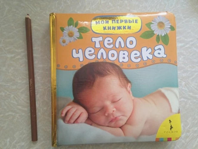 Тело человека