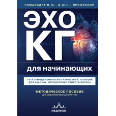 Эхокардиография для начинающих. Суть гемодинамических нарушений, позиции для анализа, определение тяжести порока