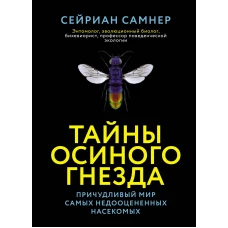 Тайны осиного гнезда: причудливый мир самых недооцененных насекомых