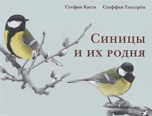 Синицы и их родня
