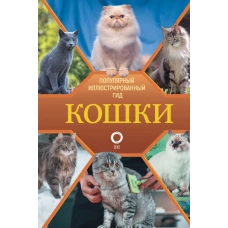 Кошки