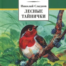Лесные тайнички (зеленая)