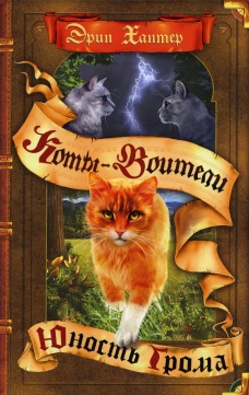 Коты-воители. Юность Грома. Хантер Э
