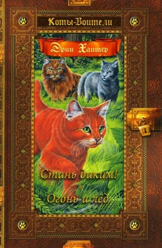 Коты-воители. Стань диким! Огонь и лед. Хантер Э