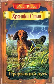 Хроники Стаи. Прерванный путь. Хантер Э.