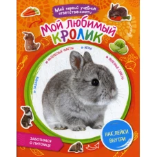 Мой любимый кролик