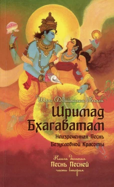 Шримад Бхагаватам. Кн. 10. Ч. 2. Вьяса, Шри Двайпаян