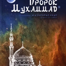 Пророк Мухаммад. Жизнеописание лучшего из людей (мечеть). Аляутдинов И.