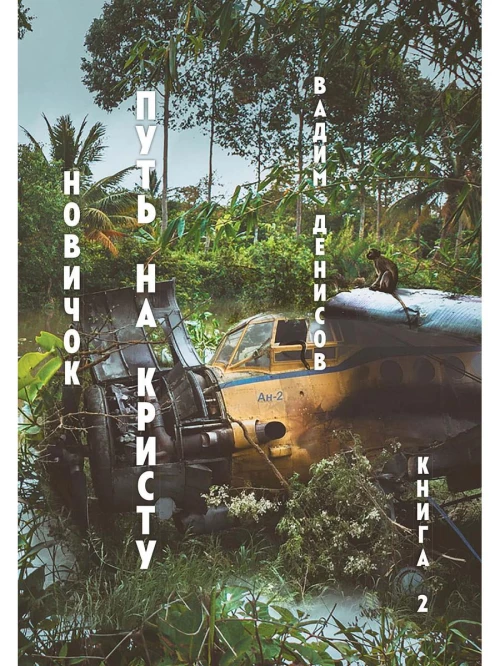 Новичок. Путь на Кристу. Кн. 2. Денисов В.В.