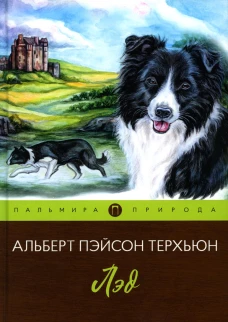 Лэд: повесть. Терхьюн А.П.