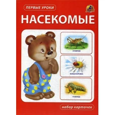 Насекомые. Набор карточек.