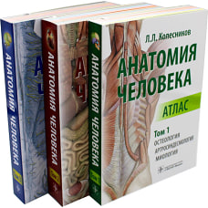 Анатомия человека. Атлас: В 3 т. (комплект). Колесников Л.Л.