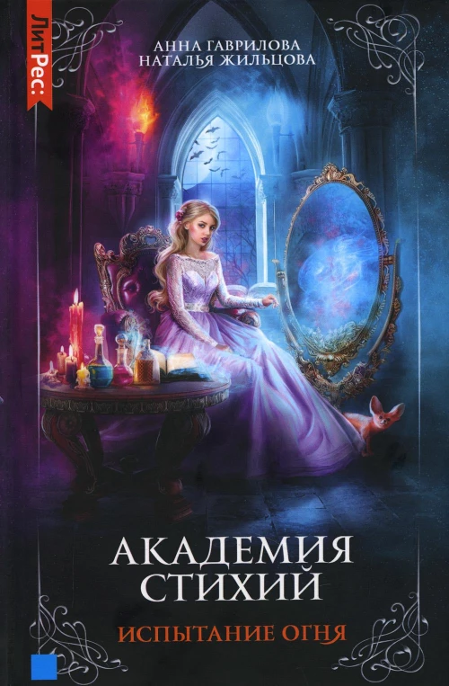 Академия стихий. Кн. 3: Испытание огня. Жильцова Н.С., Гаврилова А.С.