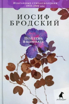 Полдень в комнате