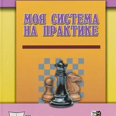 Моя система на практике